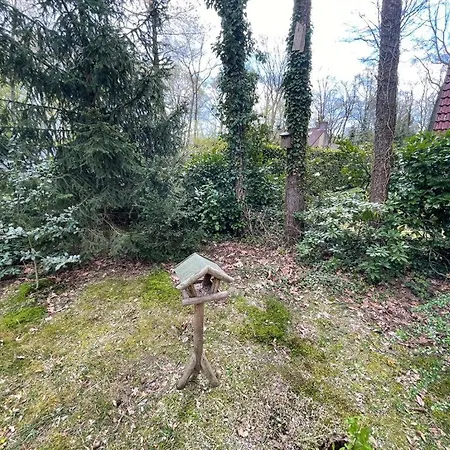 Natuurpark Calluna Midden In De Natuur! Holiday home Harfsen