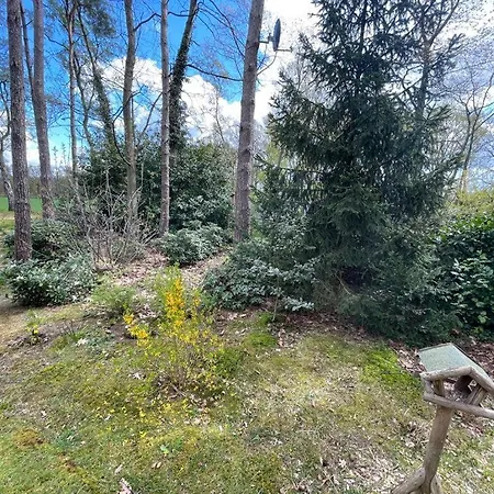 Natuurpark Calluna Midden In De Natuur! Holiday home *