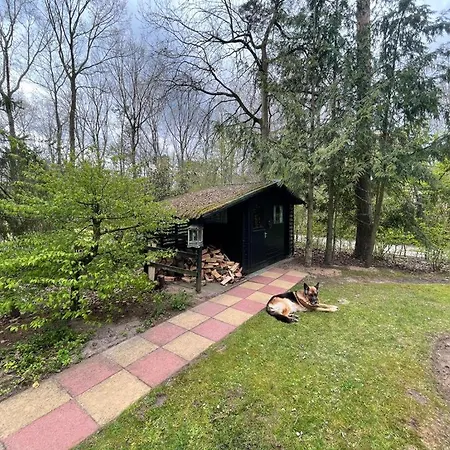 Holiday home Natuurpark Calluna Midden In De Natuur! *