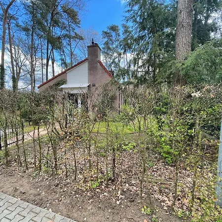 Natuurpark Calluna Midden In De Natuur! *