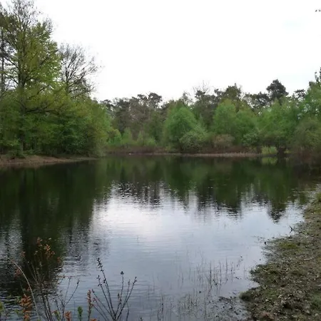 Natuurpark Calluna Midden In De Natuur! Holiday home Harfsen