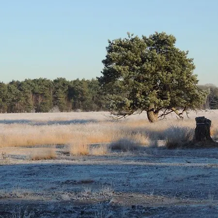 Natuurpark Calluna Midden In De Natuur! Holiday home
