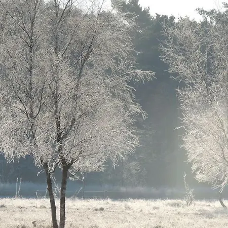 Natuurpark Calluna Midden In De Natuur! Holiday home *