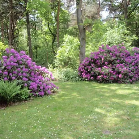 Natuurpark Calluna Midden In De Natuur!