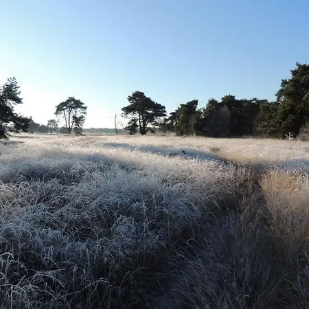 Holiday home Natuurpark Calluna Midden In De Natuur! *